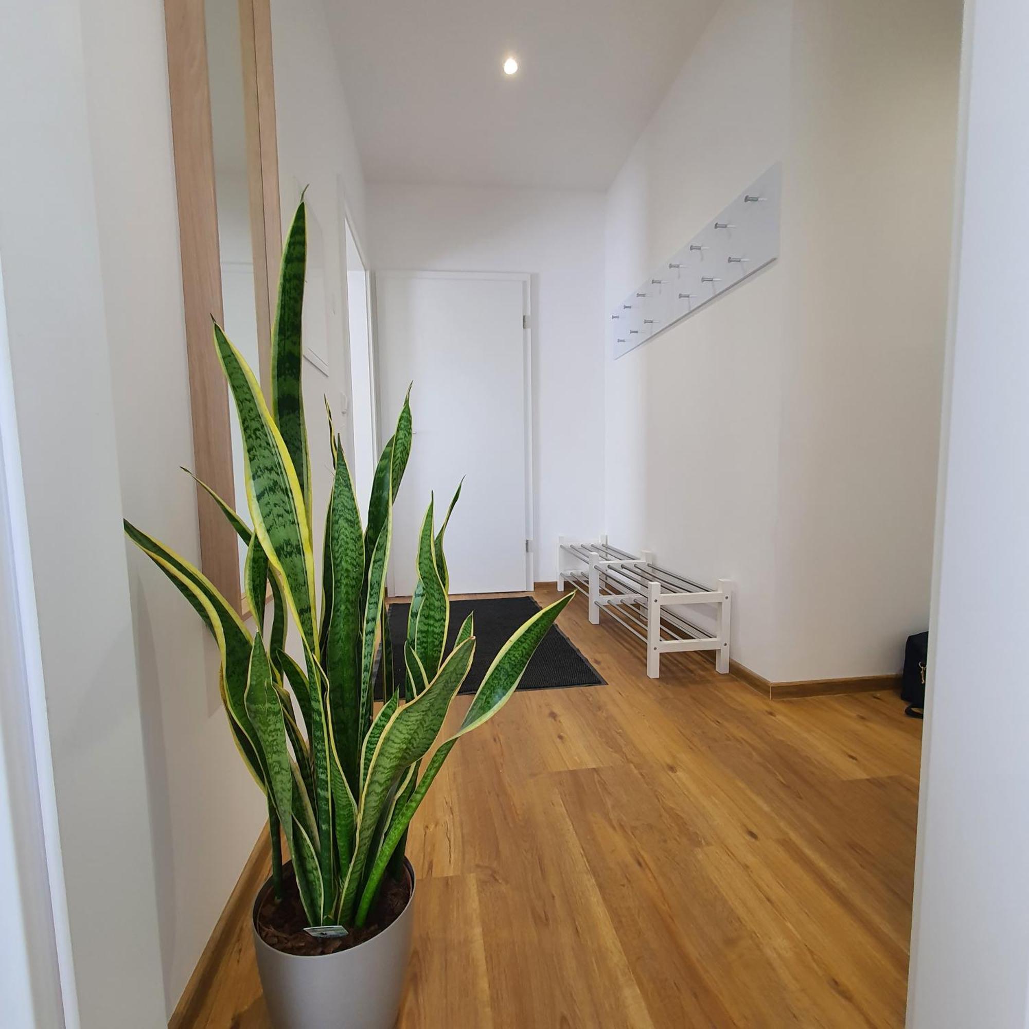 Appartamento Laineckerstrasse 8 In 95445 Bayreuth Esterno foto